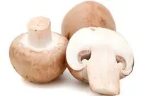 ۹ خوراکی که سلامتی شما را تضمین می‌کنند