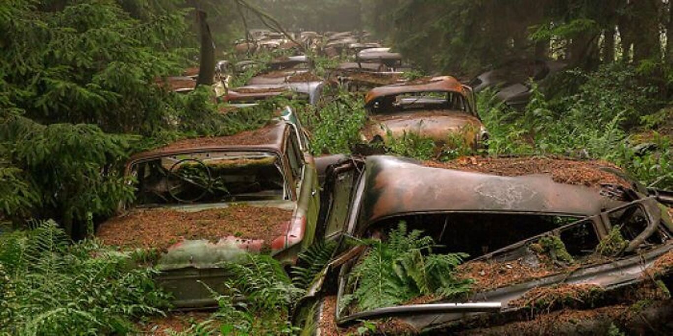 داستان جنگلی عجیب در بلژیک که به قبرستان ماشین‌های قدیمی تبدیل شده است