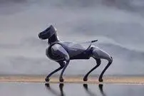 (ویدئو) سگ رباتیک رکورد دو ۱۰۰ متر گینس را شکست!