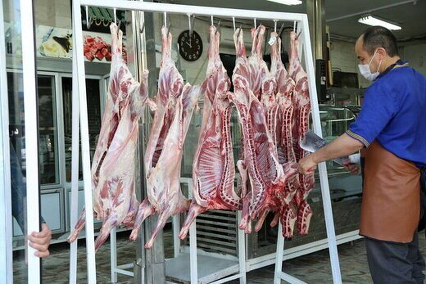 دلیل اصلی گران شدن قیمت گوشت چیست؟