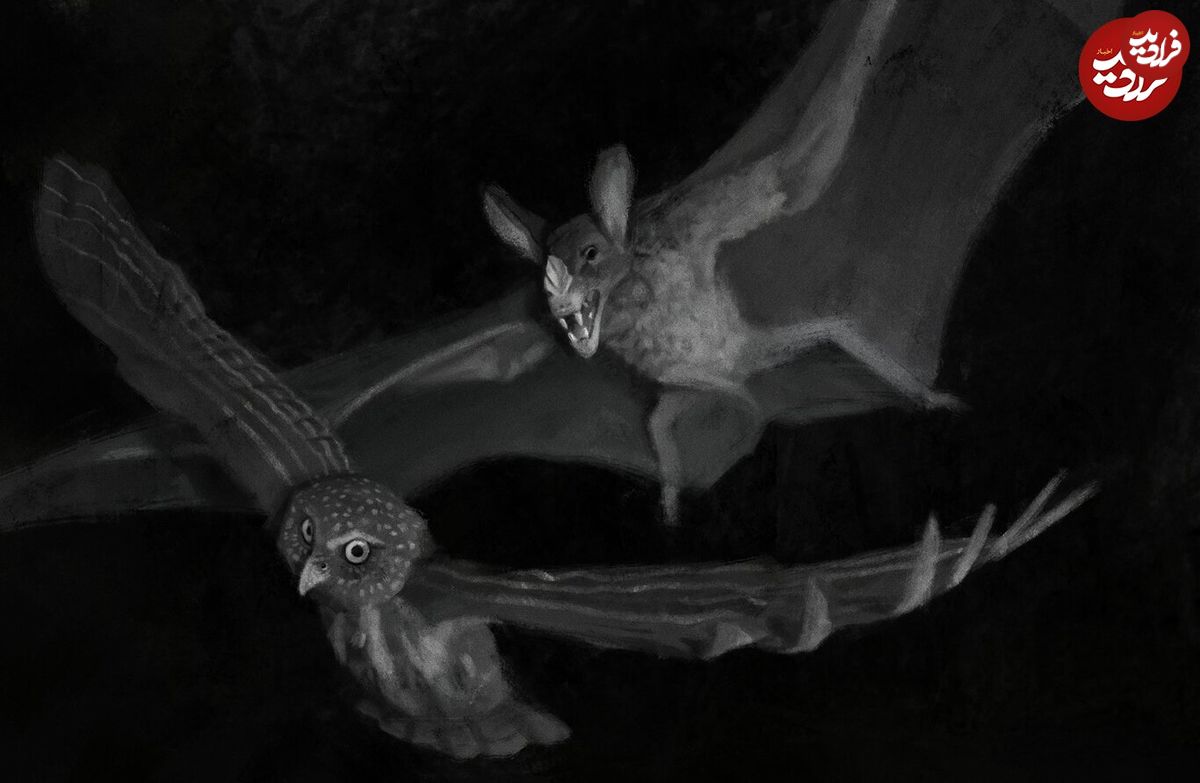 (ویدئو) جغد گرسنه خفاش بی نوا را در هوا شکار کرد!