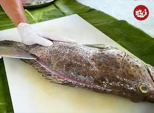 ببینید| غذای خیابانی در تایلند؛ ماهی گروپر کبابی با سبزیجات در بانکوک