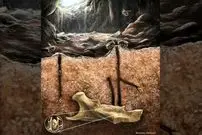 زنبورهای باستانی که در «دندان» جانوران مرده لانه می‌ساختند