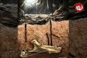 زنبورهای باستانی که در «دندان» جانوران مرده لانه می‌ساختند