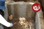«عطردان پری دریایی» در جریان توسعه «کارخانه ماکارونی» از زیر خاک بیرون آمد