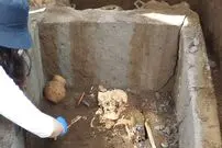 «عطردان پری دریایی» در جریان توسعه «کارخانه ماکارونی» از زیر خاک بیرون آمد