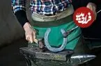 عکس| سفر زمان؛ یک نعلبند در حال نعل کردن خر در دوران قاجار