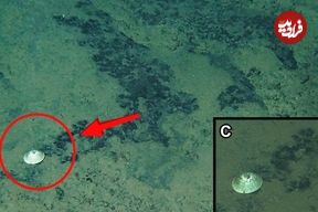 کشف صدفی شبیه بشقاب‌پرنده در 6 کیلومتری عمق اقیانوس