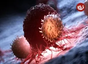 کشف پروتئینی که رشد سرطان را کُند می‌کند