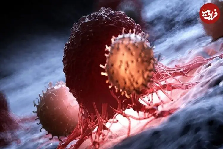 کشف پروتئینی که رشد سرطان را کُند می‌کند