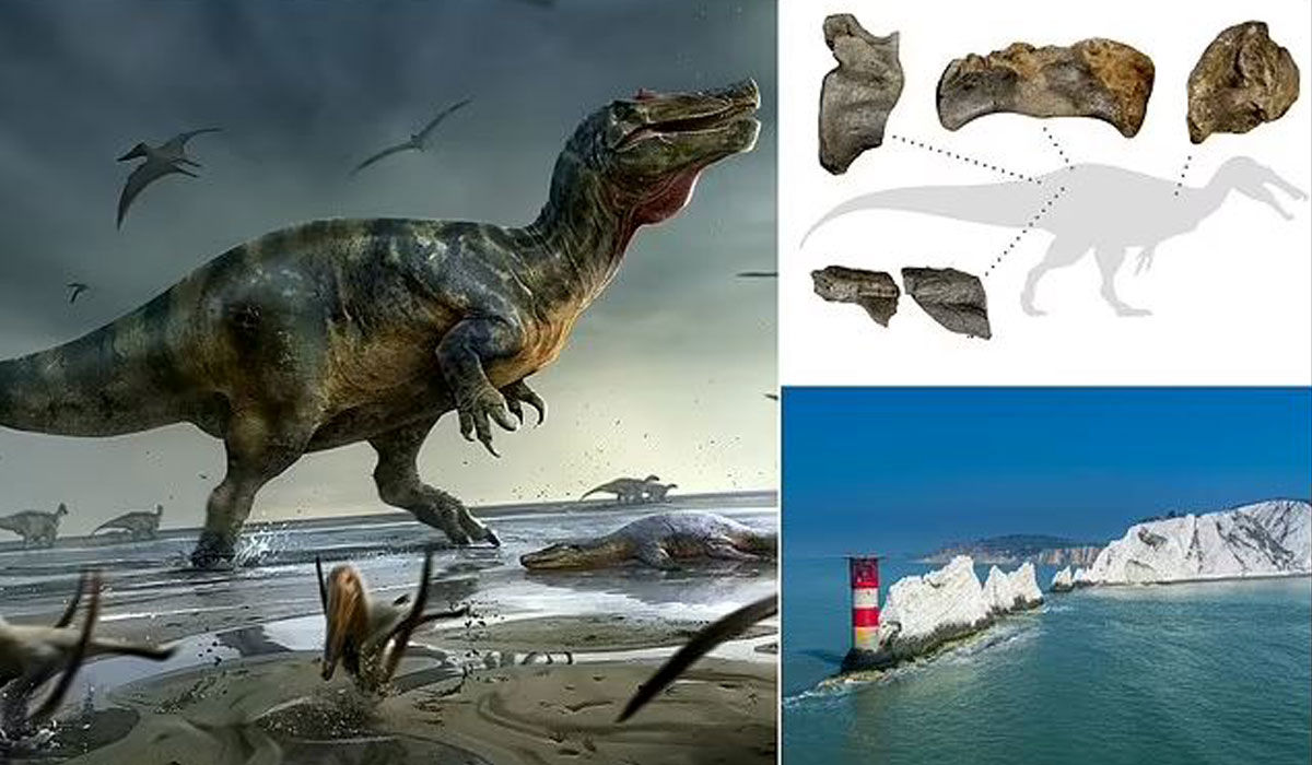 دایناسوری با صورت کروکودیل؛ بزرگ ترین شکارچی خشکی قاره اروپا کشف شد!