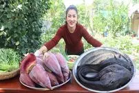 (ویدئو) نحوه پخت غذا با مار ماهی و گربه ماهی به روش بانوی تایلندی