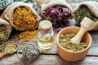 این گیاه دارویی چه بلایی سر عضلات شما می‌آورد؟