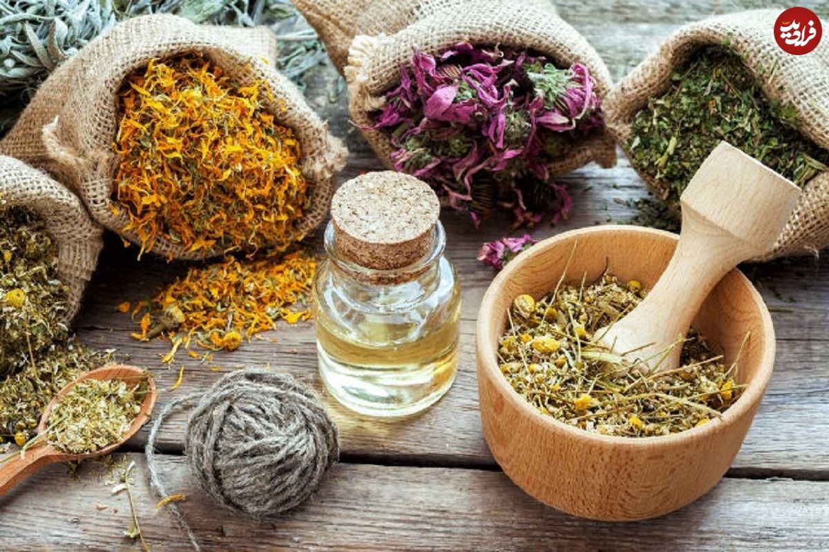 این گیاه دارویی چه بلایی سر عضلات شما میآورد؟