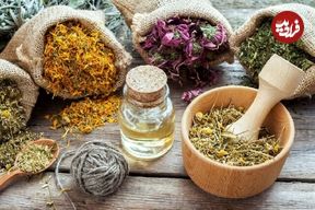 این گیاه دارویی چه بلایی سر عضلات شما می‌آورد؟