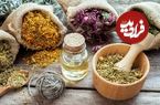 این گیاه دارویی چه بلایی سر عضلات شما می‌آورد؟
