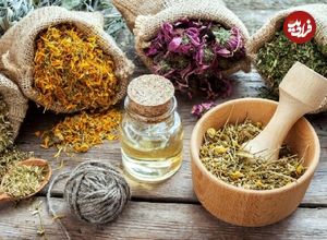 این گیاه دارویی چه بلایی سر عضلات شما می‌آورد؟
